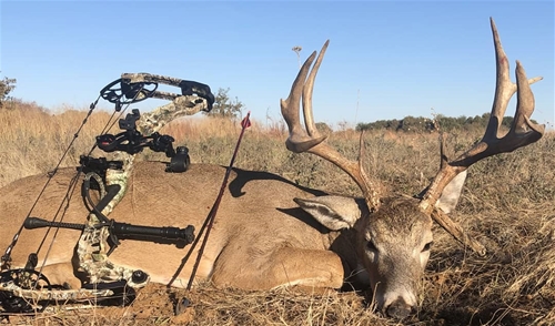 DSC Buck