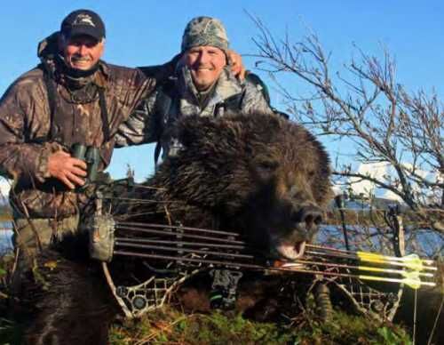 SE Alaska Bear