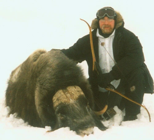 Archery Musk Ox