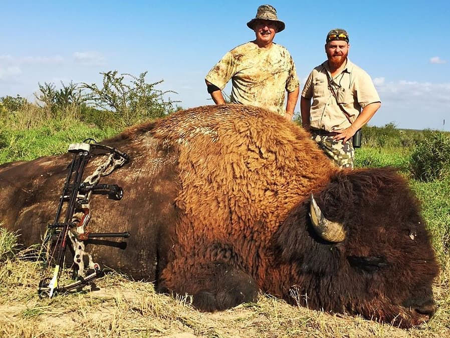 Big Stuff Bison