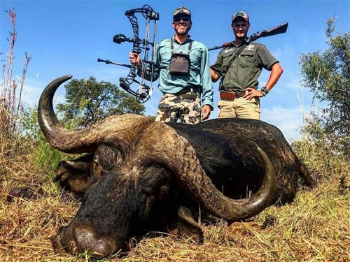 44" Buffalo in the Salt