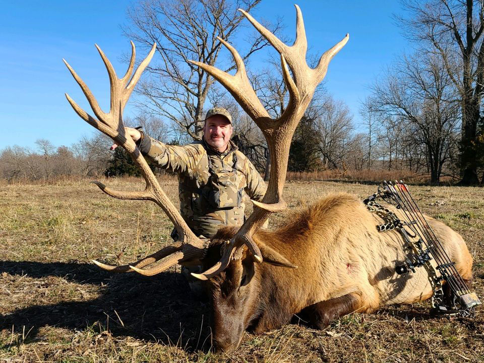 800 Grain Bull