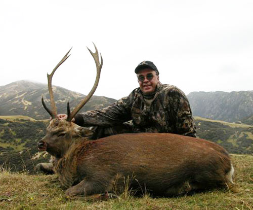 New Zealand  Red deer and Ram