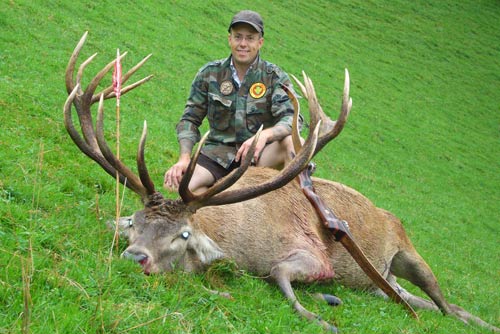 Reg Stag in the Alps