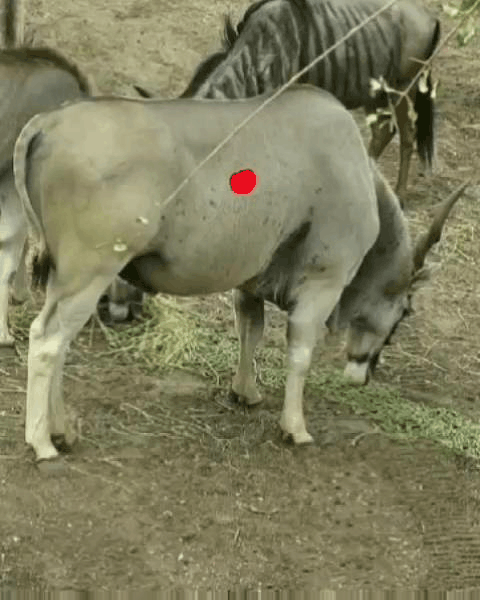 Low poundage penetration