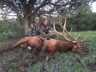 NM Elk Double Lunged