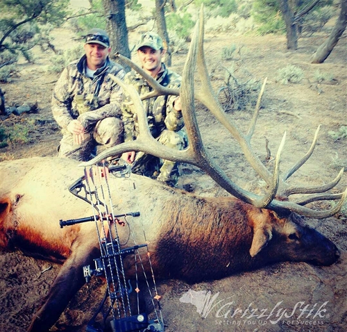 363" Colorado Bull