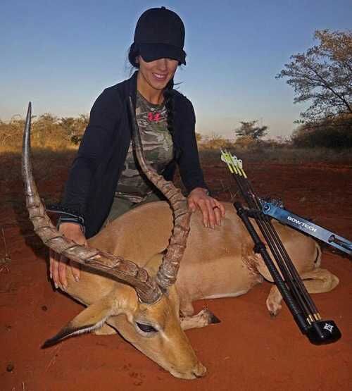 Impala Success