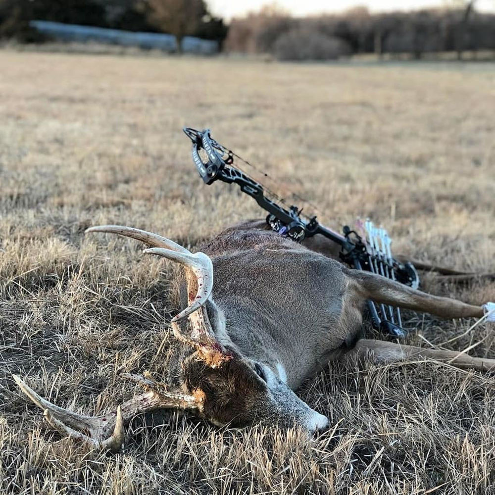 Public Land Success