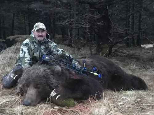 Afognak Island Brown Bear