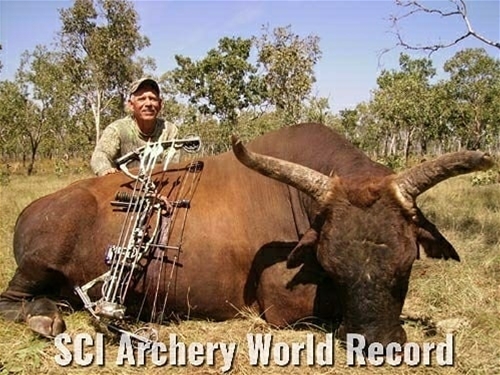 Cross Cut the World Record Scrub Bull?