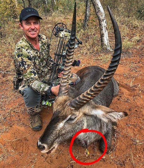 What do bowhunting guides say about "Frontal" shots