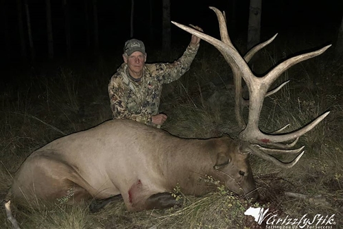Boulder Mountain Bull