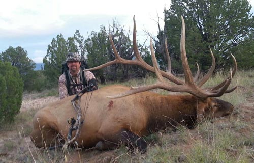 New Mexico #2 Bull Elk