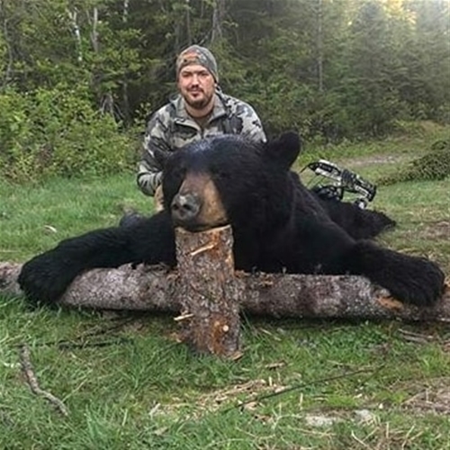 Spring Bear Double