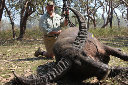 Tapered Arrows vs Water Buffalo