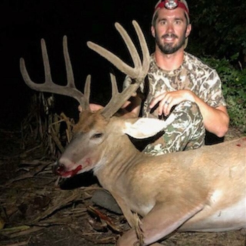 Delaware Velvet