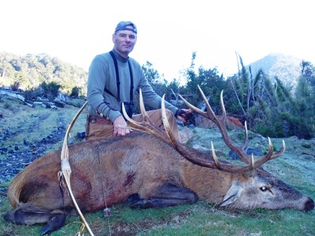 Red Stag Taken in Chile 