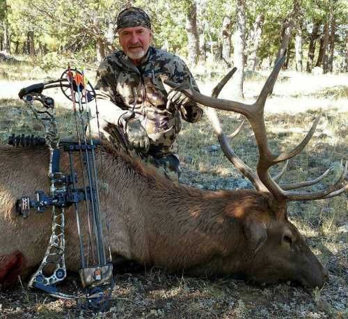 Arizona Elk Hunt