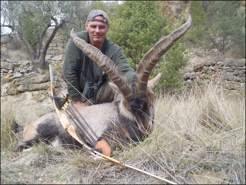 Ibex Success