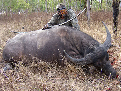 Dr. Ed Ashby Asiatic Buffalo