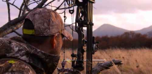 P&Y Top 10 Alaskan Brown Bear