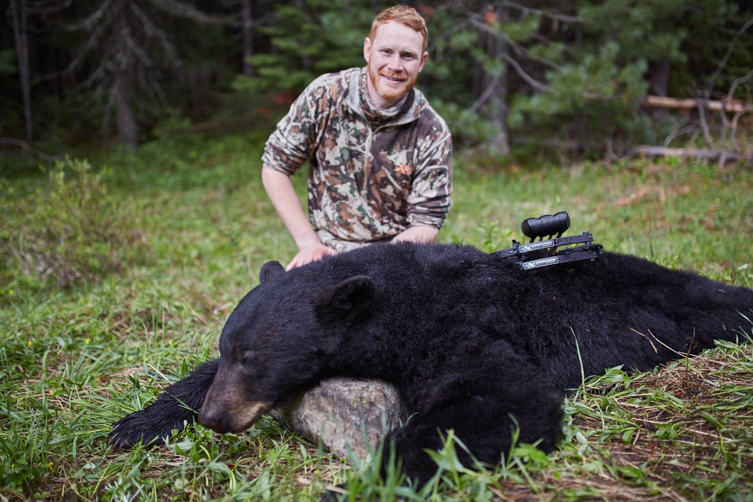 Montana Spring Bear