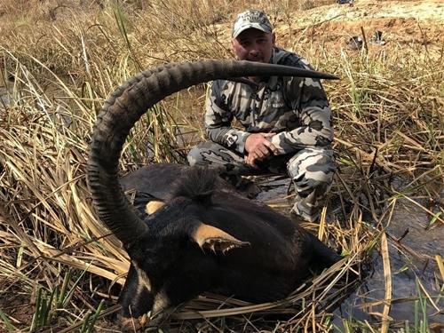 650 SUPER Sable