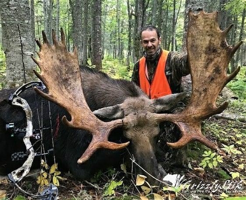 Quebec Bruiser