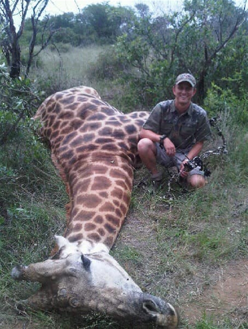 950 System Giraffe Takedown