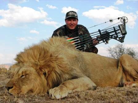 Ashby Broadhead Lion Success