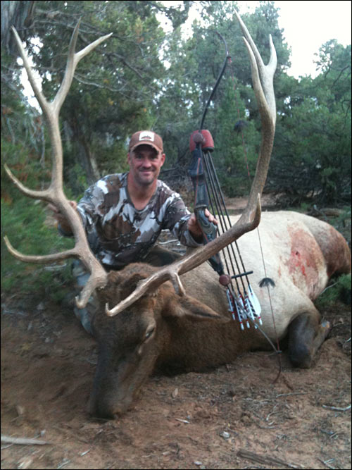 9 Yard Bull