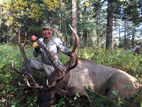 56# Longbow Bull Elk Success