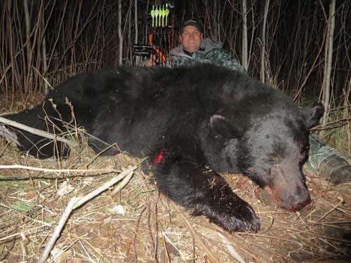 Great Black Bear