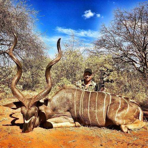 What do Bowhunting Guides Shoot?