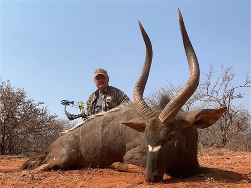 950 System Nyala