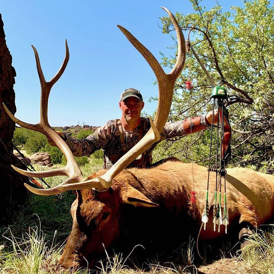 Stick & String Bull
