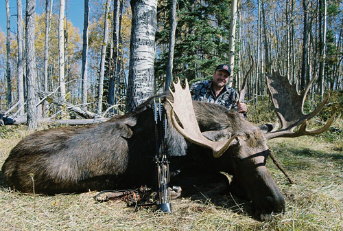 A monster of a Canadian moose taken near Caroline, Alberta, Canada