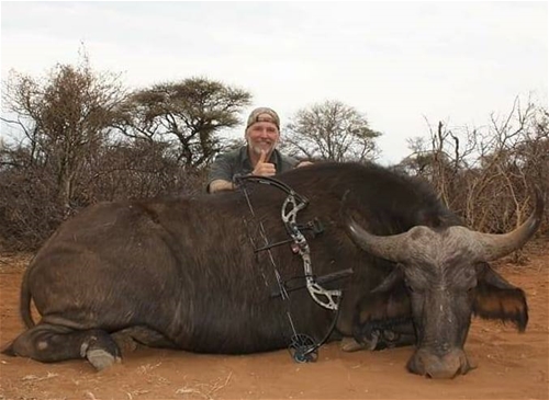 Holy (Cape) Cow
