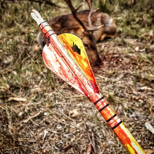 Free Range Fallow