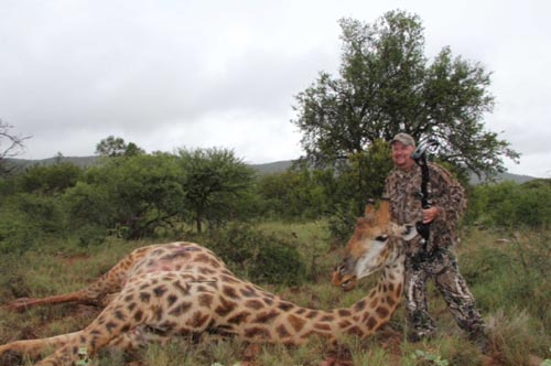 Giraffe, Waterbuck, and Kudu