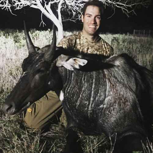 Trophy Texas Blue Bull