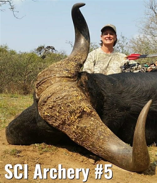 SCI Top 10 Cape Buffalo