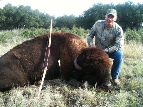 Nice Bison