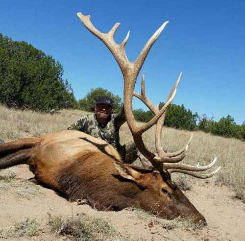 New Mexico Brute