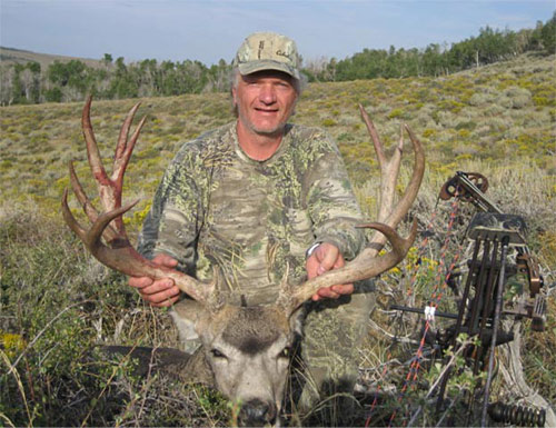 Colorado Mule Deer