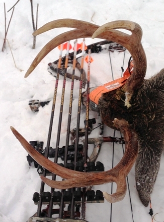 Saskatchewan Buck