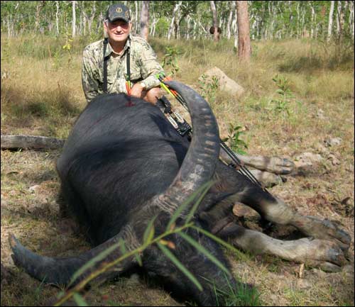 Asiatic Buffalo with a Silver Flame