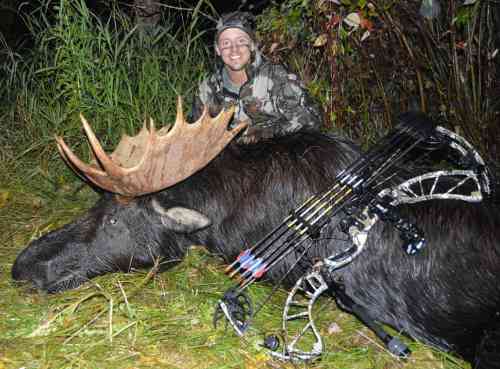 Idaho Shiras Moose