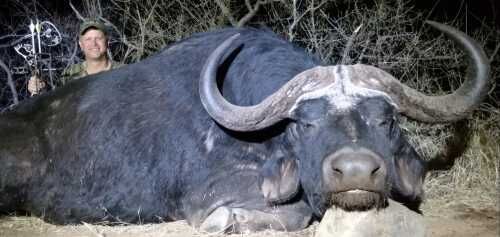 Charonga Safari Success